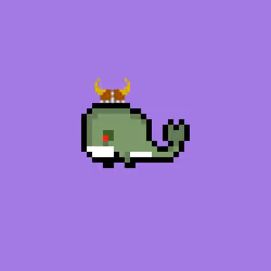 Weird Whales 301
