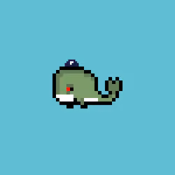 Weird Whales 783