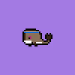 Weird Whales 1378