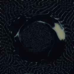 65