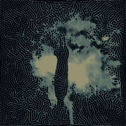 62