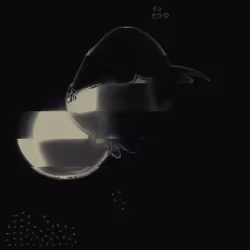 42