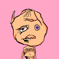 537