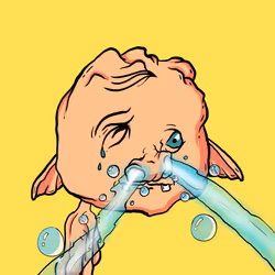 41