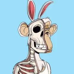 Anatomy Science Ape Club #7070