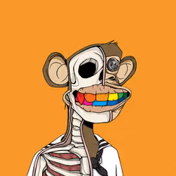 Anatomy Science Ape Club #595