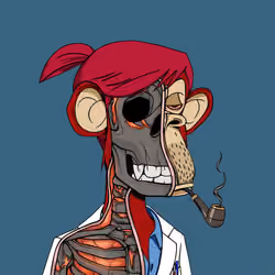 Anatomy Science Ape Club #6669