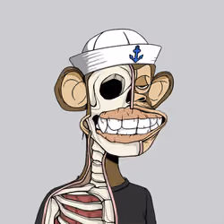 Anatomy Science Ape Club #542
