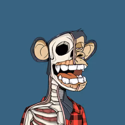 Anatomy Science Ape Club #6258