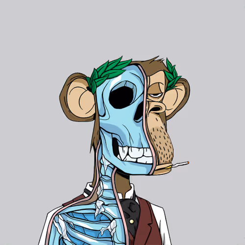 Anatomyscienceapeclub