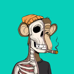 Anatomy Science Ape Club #1291