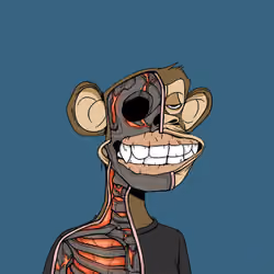 Anatomy Science Ape Club #4796