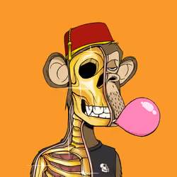 Anatomy Science Ape Club #4907