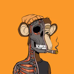 Anatomy Science Ape Club #6184