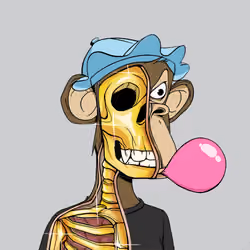 Anatomy Science Ape Club #3584