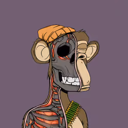 Anatomy Science Ape Club #5322