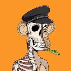 Anatomy Science Ape Club #3423