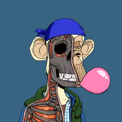 Anatomy Science Ape Club #956