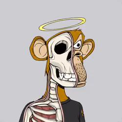 Anatomy Science Ape Club #3873