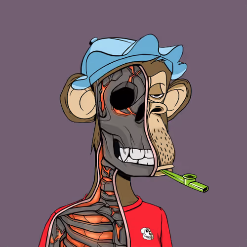 Anatomy Science Ape Club #3804