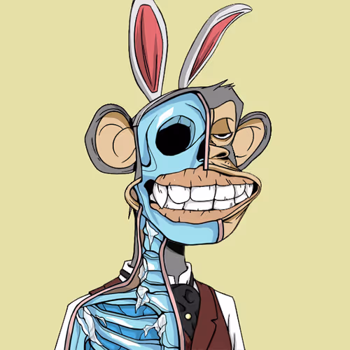Anatomyscienceapeclub