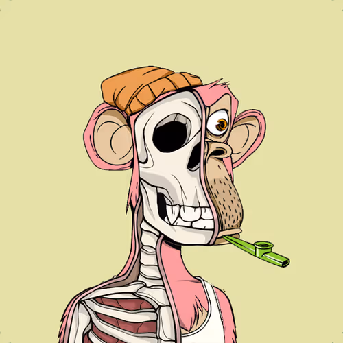 Anatomyscienceapeclub