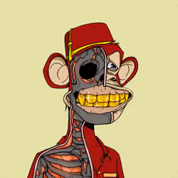 Anatomy Science Ape Club #6046