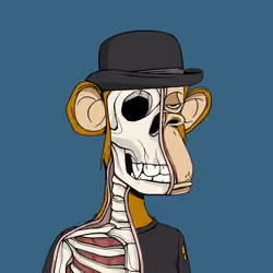 Anatomy Science Ape Club #3069