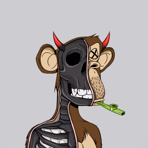 Anatomyscienceapeclub