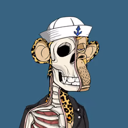 Anatomy Science Ape Club #2544