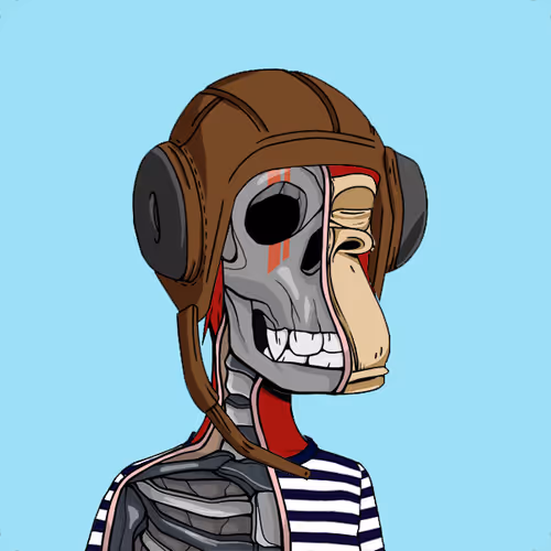Anatomyscienceapeclub