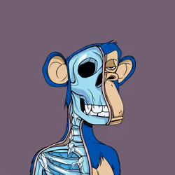 Anatomy Science Ape Club #2181