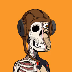 Anatomy Science Ape Club #4267