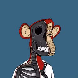 Anatomy Science Ape Club #19