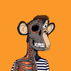 Anatomy Science Ape Club #5674