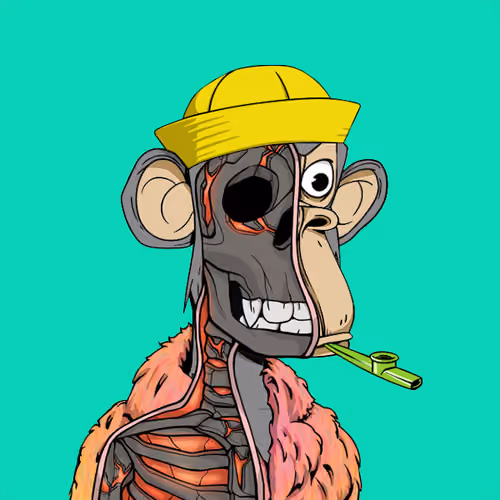 Anatomy Science Ape Club #234