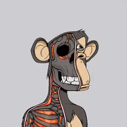 Anatomy Science Ape Club #3583