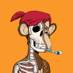 Anatomy Science Ape Club #897