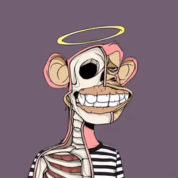 Anatomy Science Ape Club #6473