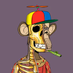 Anatomy Science Ape Club #6941