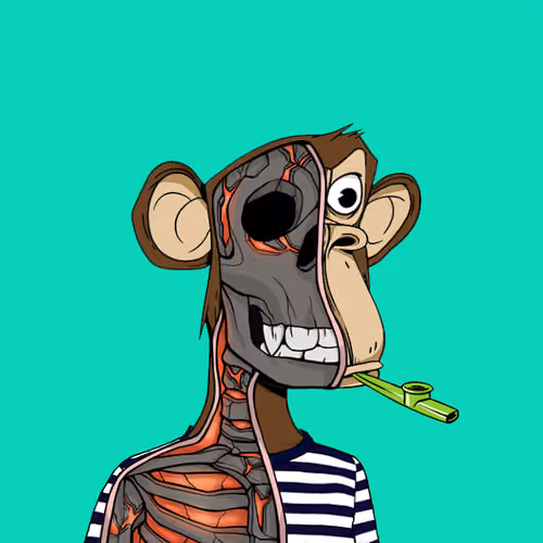 Anatomy Science Ape Club #531