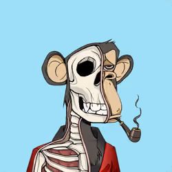 Anatomy Science Ape Club #6338
