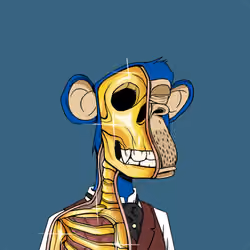 Anatomy Science Ape Club #3649