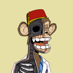 Anatomy Science Ape Club #3487