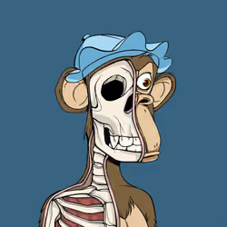 Anatomy Science Ape Club #648