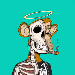 Anatomy Science Ape Club #4642