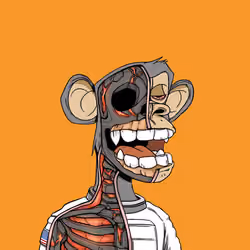 Anatomy Science Ape Club #5700