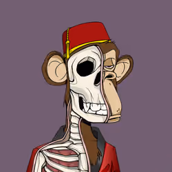 Anatomy Science Ape Club #3599