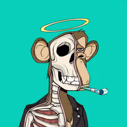 Anatomy Science Ape Club #1360