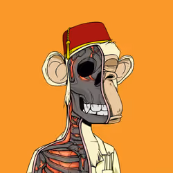 Anatomy Science Ape Club #417